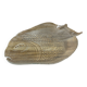 Fish serving dish