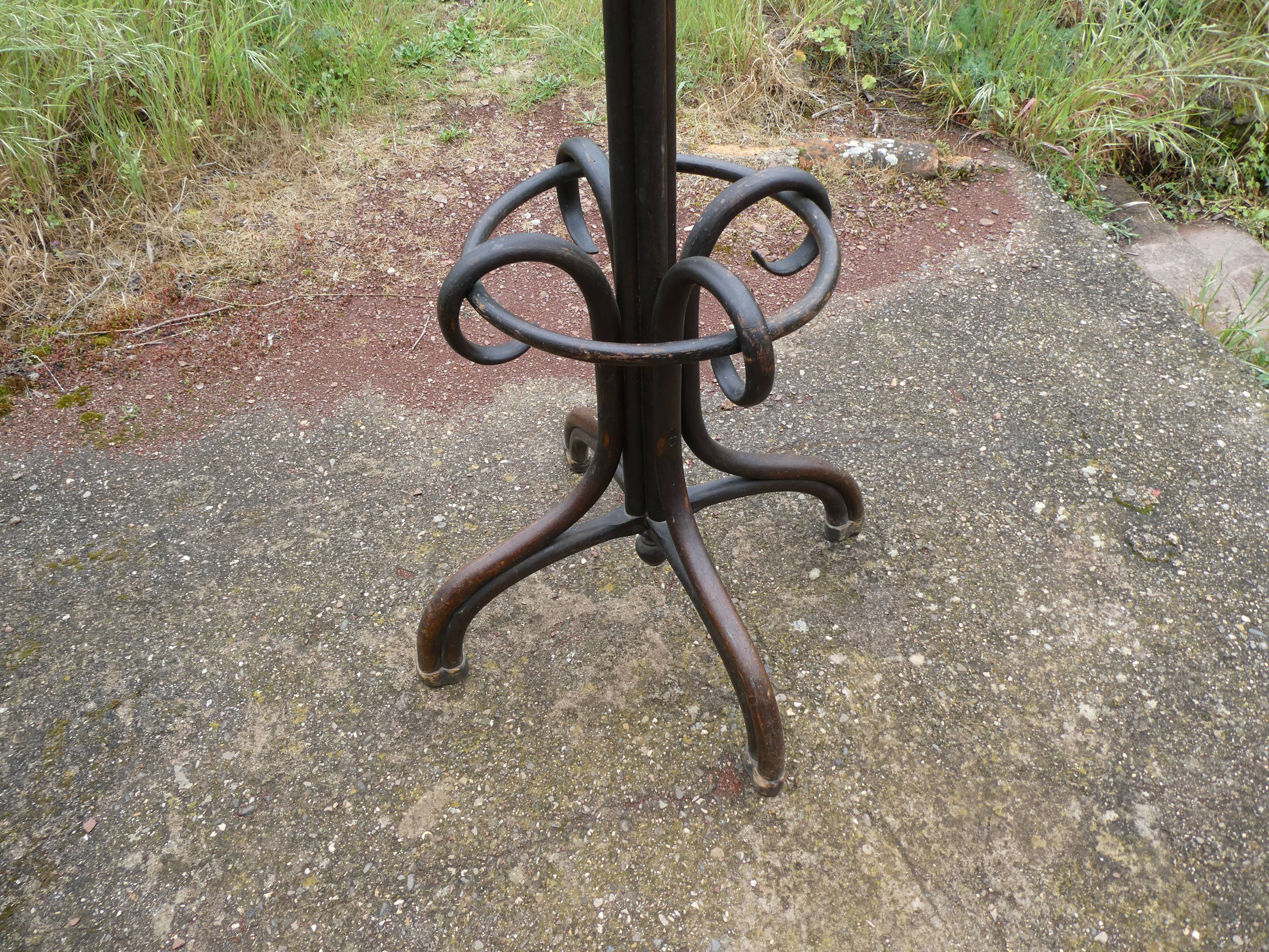 Parrot coat holder in curved wood - Art Nouveau
