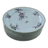 set of 7 Limoges porcelain plates by Bernardaud-Bengali + 1 free