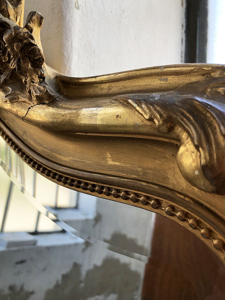 Rockery mirror Louis XV XIXth