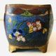 Enamelled cloisonné pot