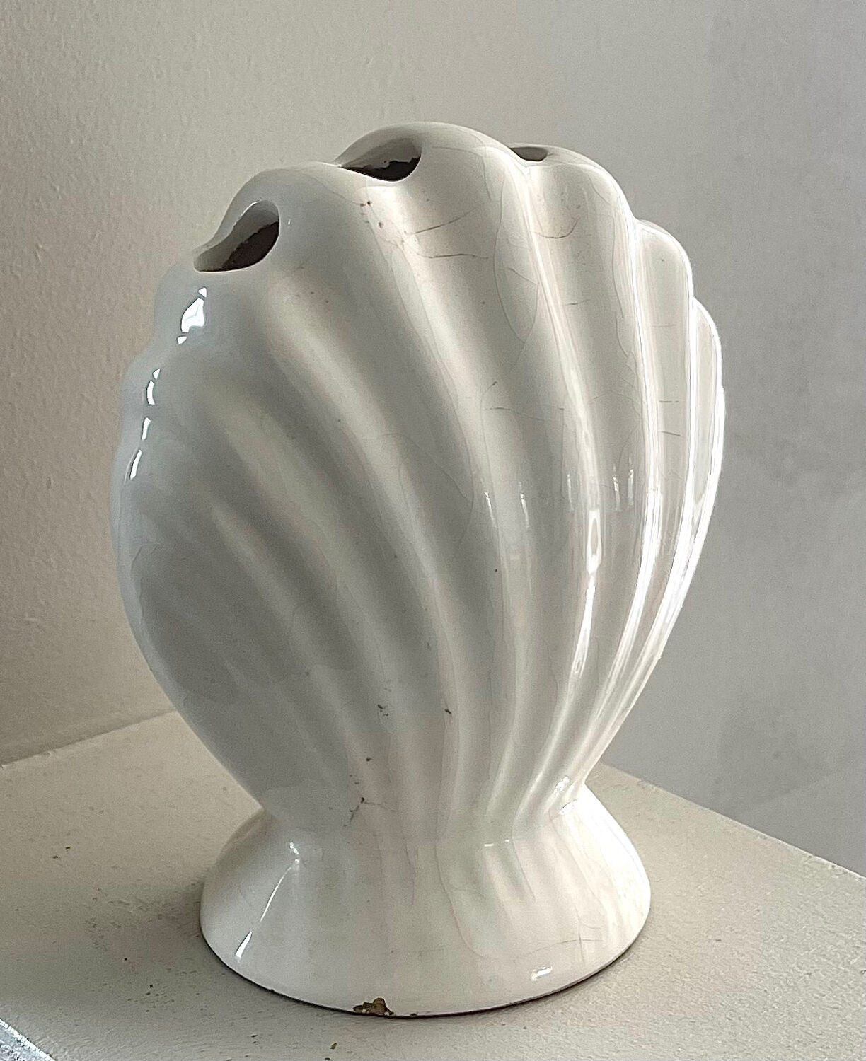 Shell pencil pot