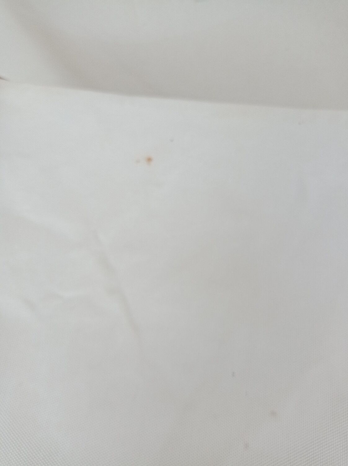 Pair of director's chairs