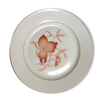 Assiette plate