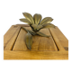 Brass flower ashtrays petals