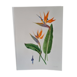 Botanical board, hand painted