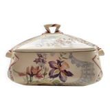 Legumiera Lavalliere