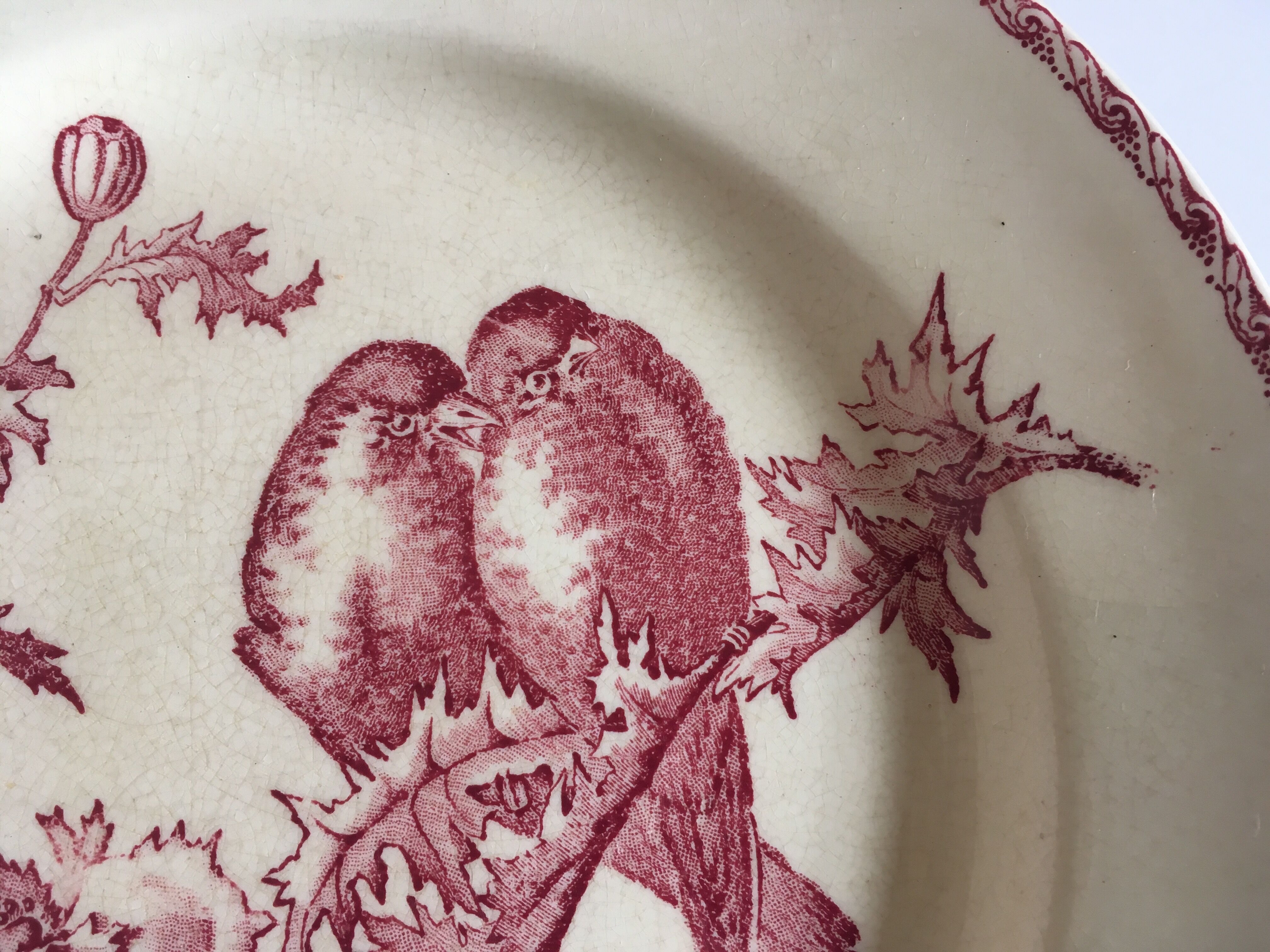 Set de 9 assiettes en faience 19e oiseaux Longwy