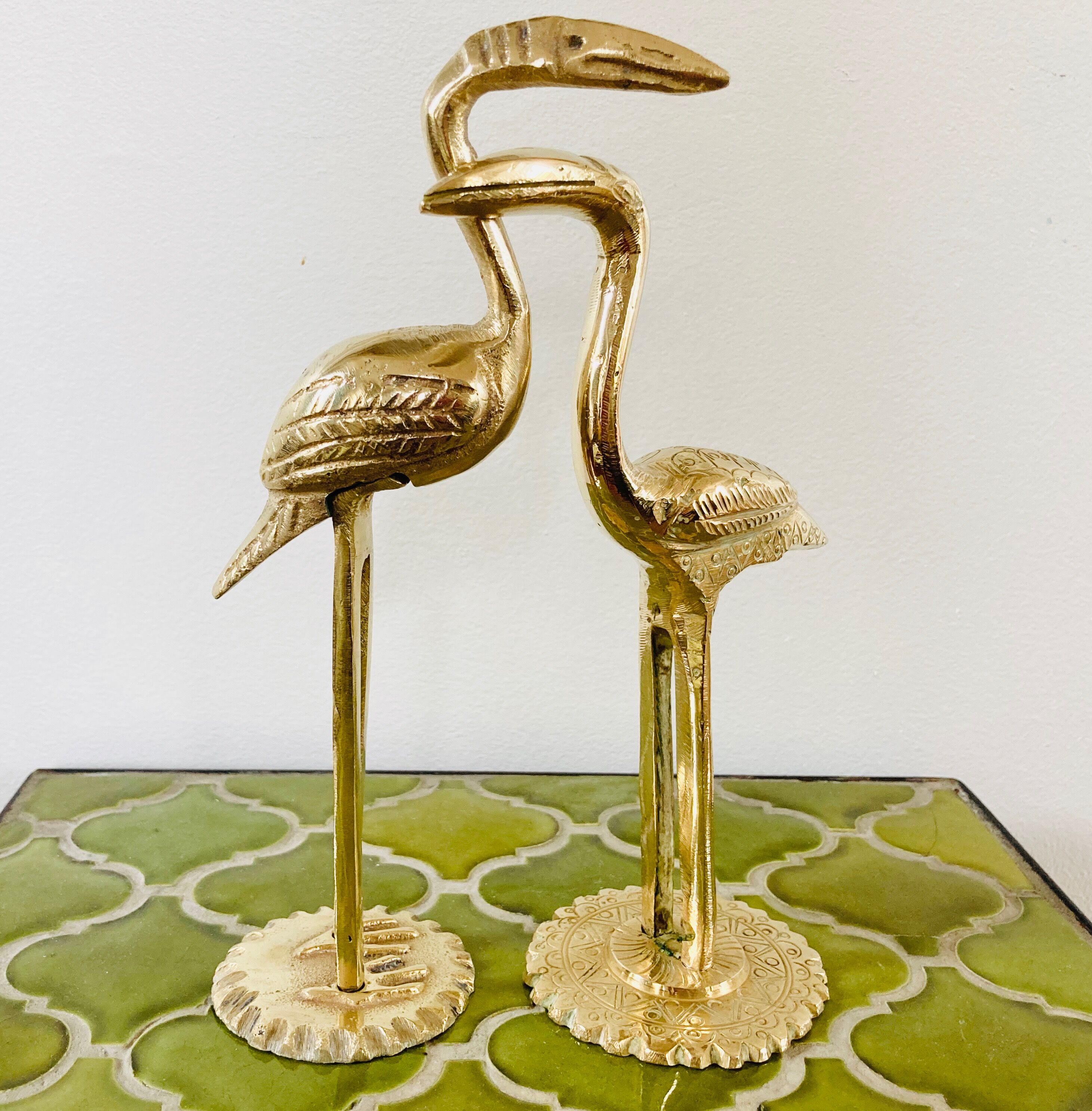 Couple of birds ibis or brass herons