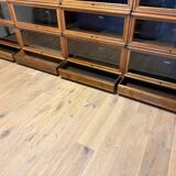 Large Globe Wernicke Bookcase