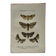 Botanical Plate 1800 Old naturalist engraving 19th century double-sided