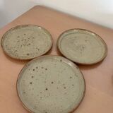 Lot de 12 assiettes plates en grès