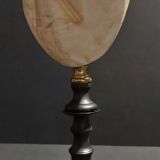 Cabinet of Curiosities sea urchin brissus unicolor on base