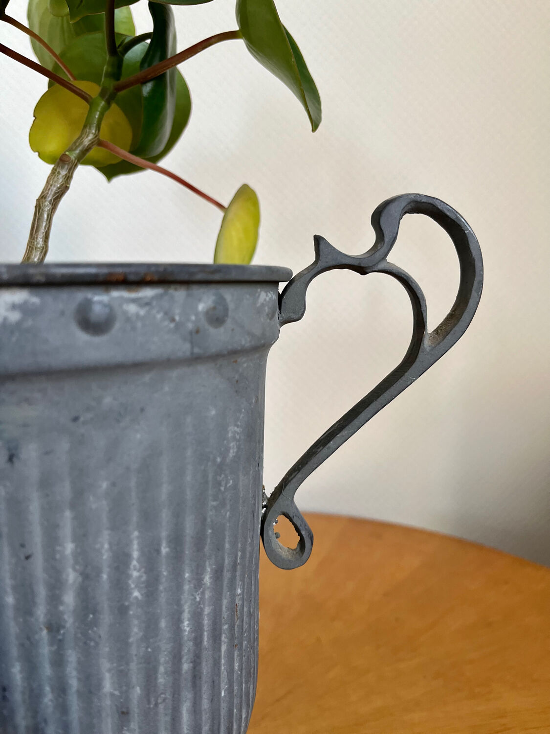 Medici vase in ancient patinated iron