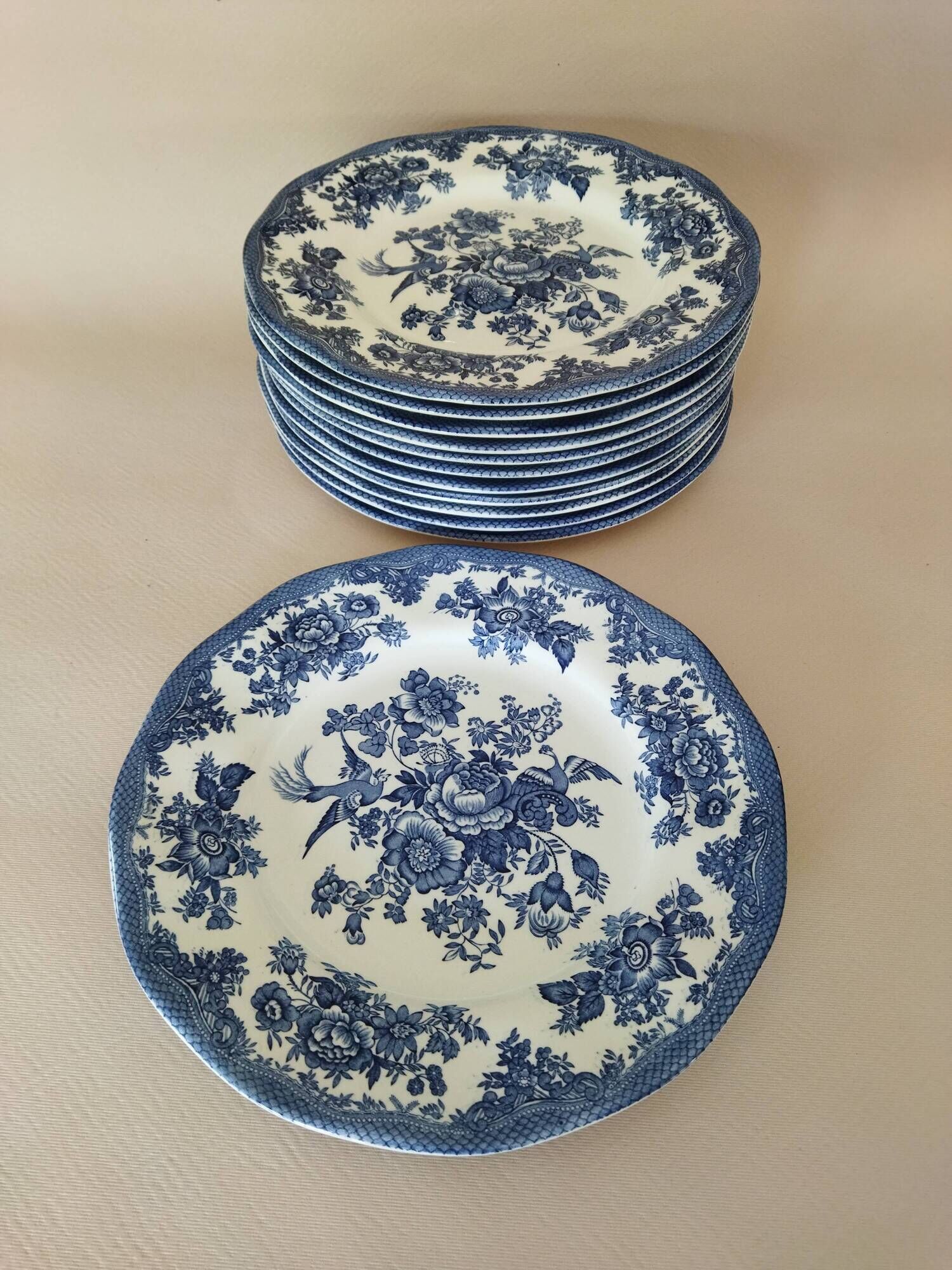 12 English dinner plates Enoch Wedgwood "Asiatic Pheasants"