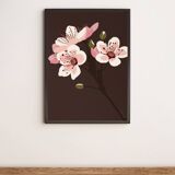 Illustration "Sakura" by Noums Atelier