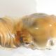 Vintage 1970s ceramic Pekingese dog, decorative figurine, statue.