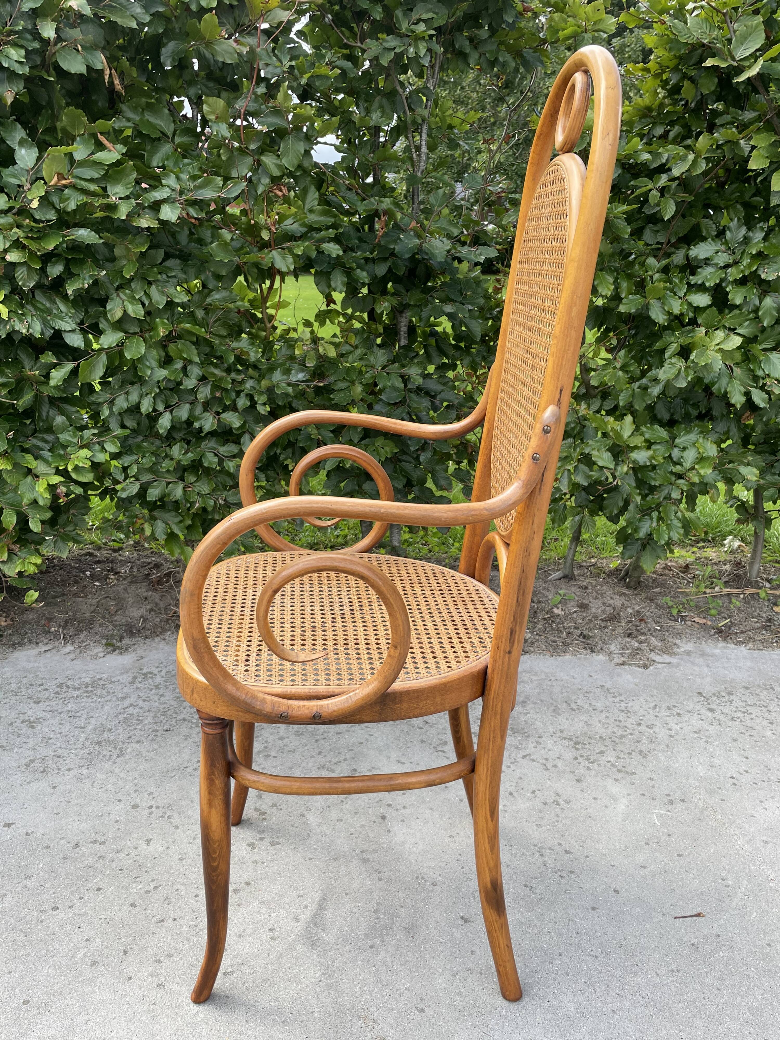 Sculptural bendwood side chair model