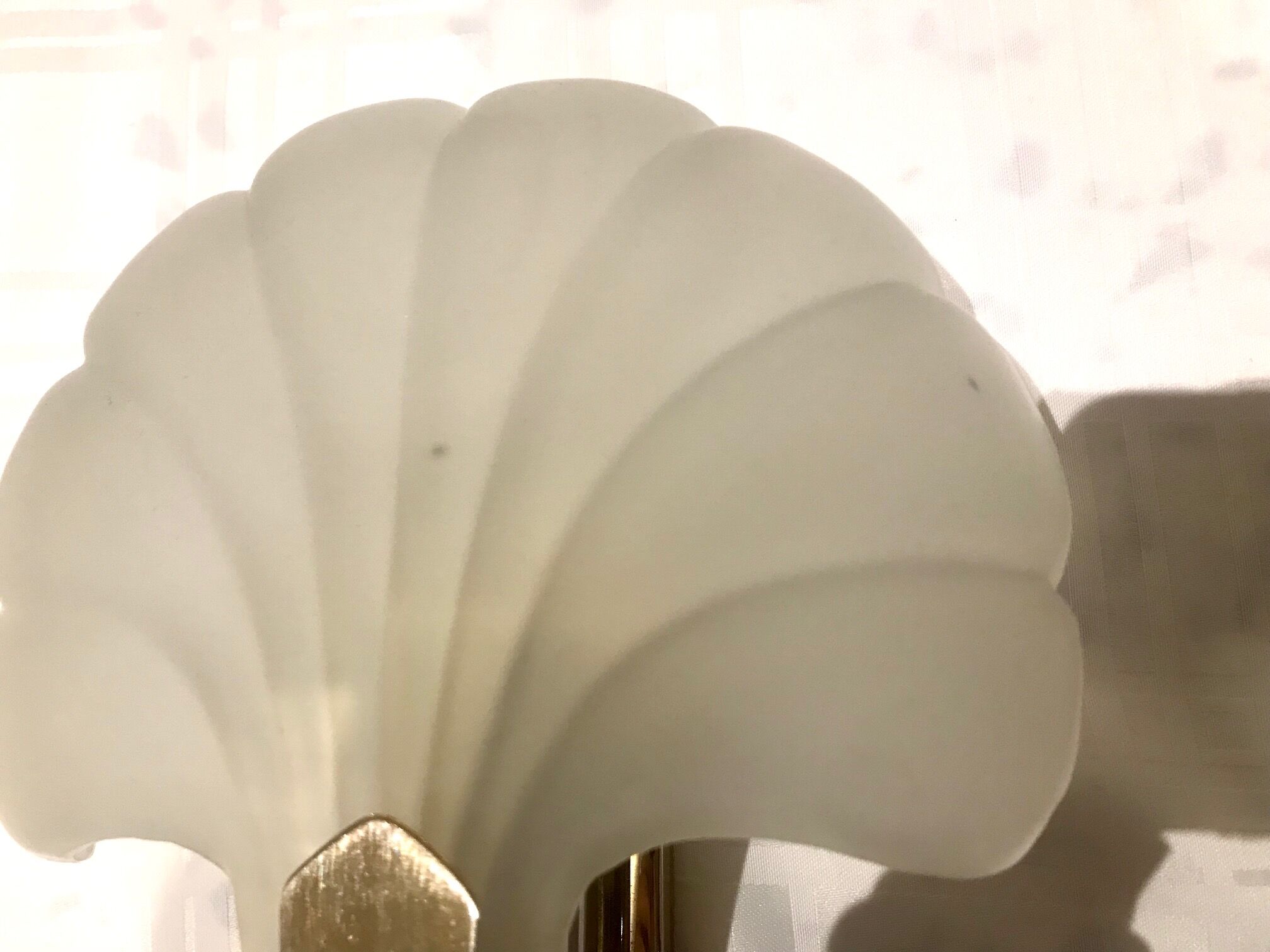 Pair of shell sconces