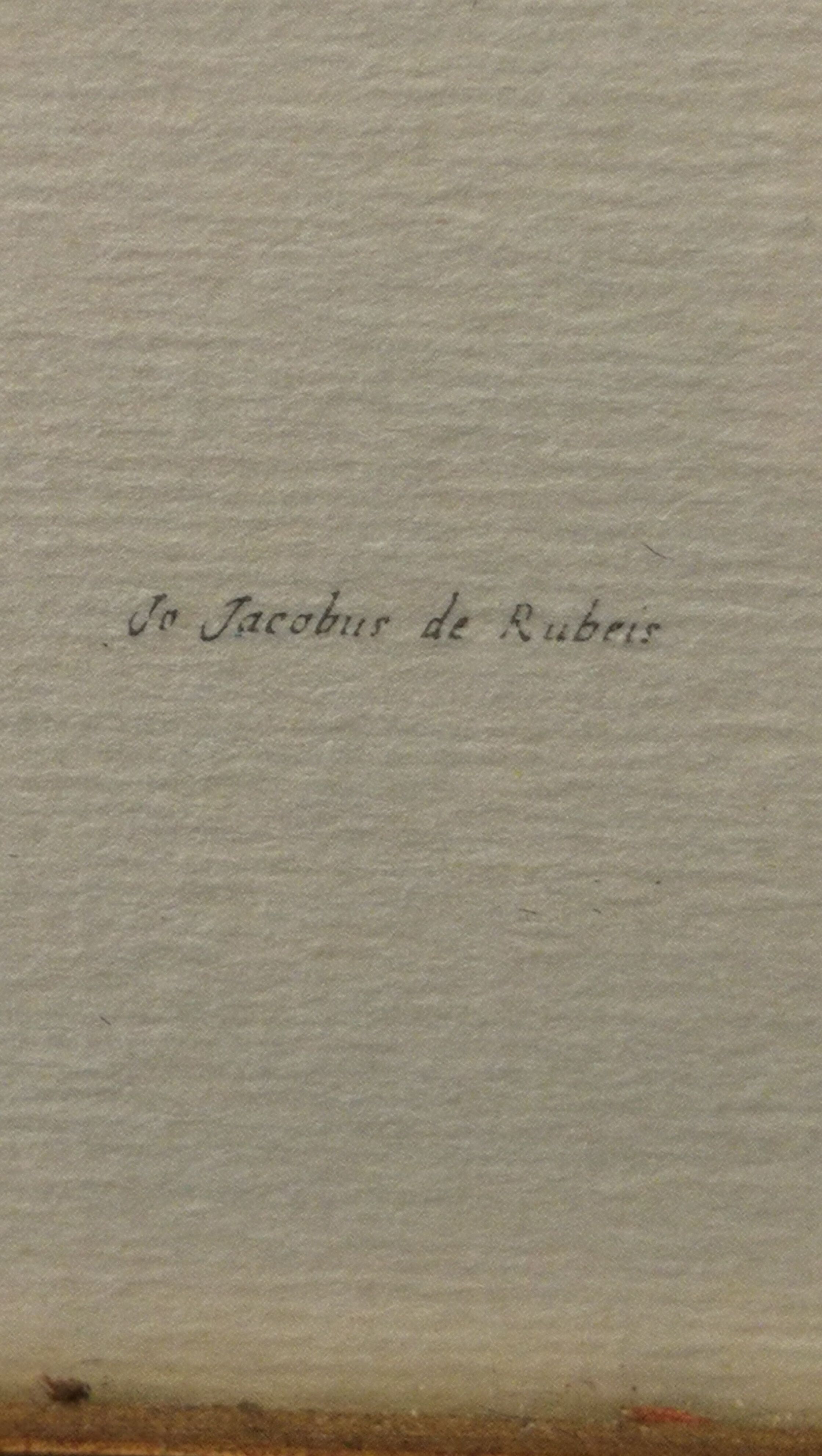 Two botanical frames oj Jacobus de Rubeis