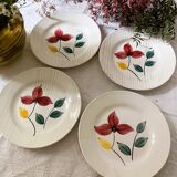 4 flat plates Digoin model Larmor