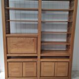 House Regain Library in solid elm