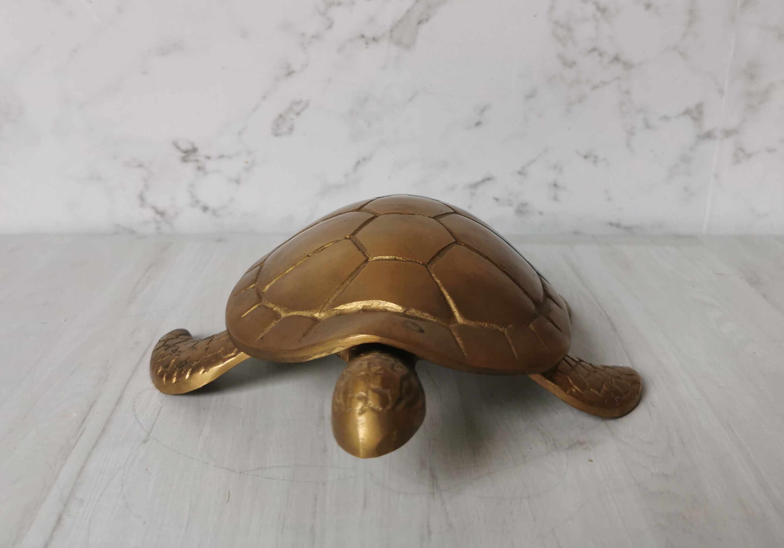 Brass turtle jewelry box