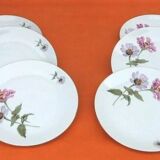 6 Bohemian Fine Porcelain Dinner Plates