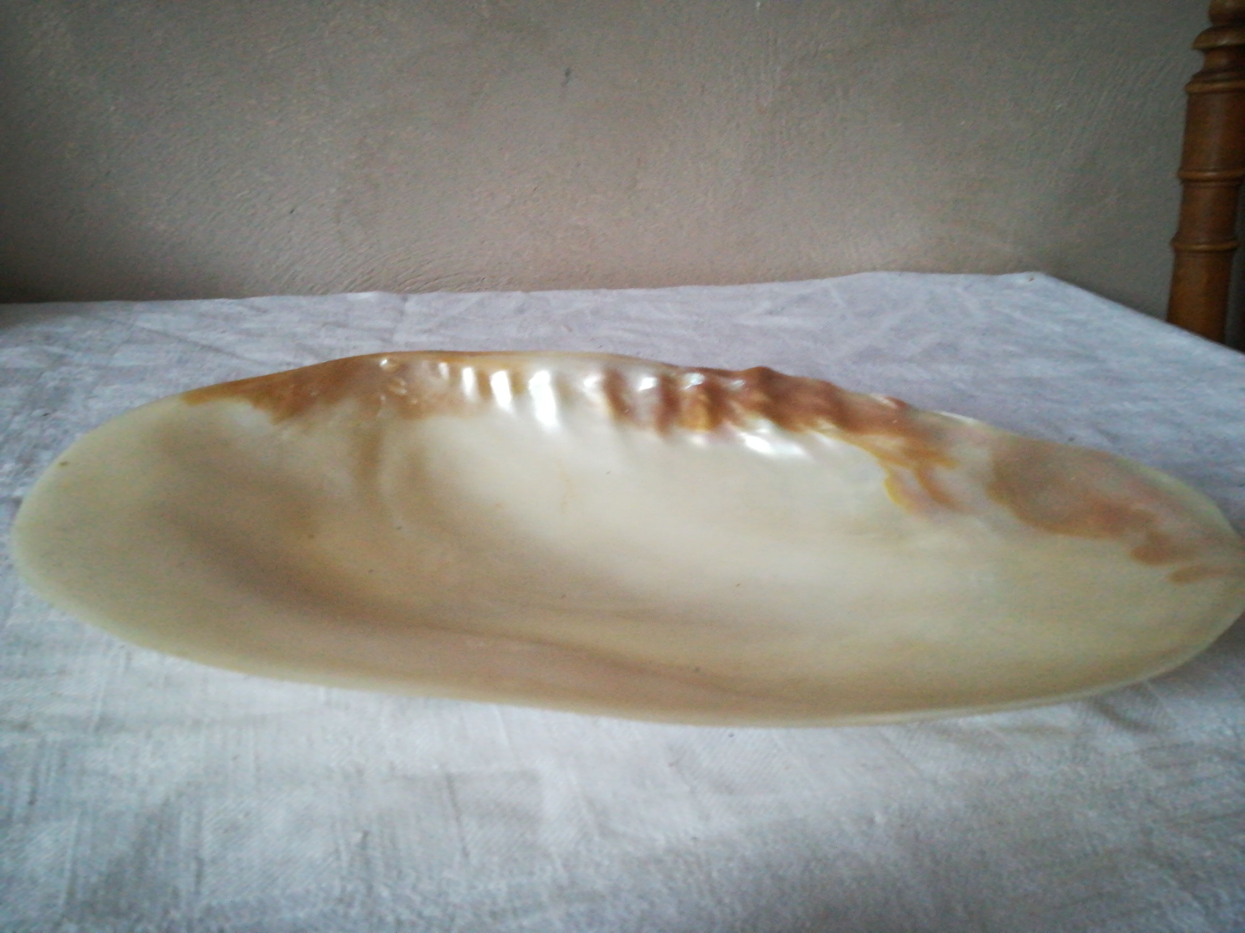 Cupelle mother-of-pearl