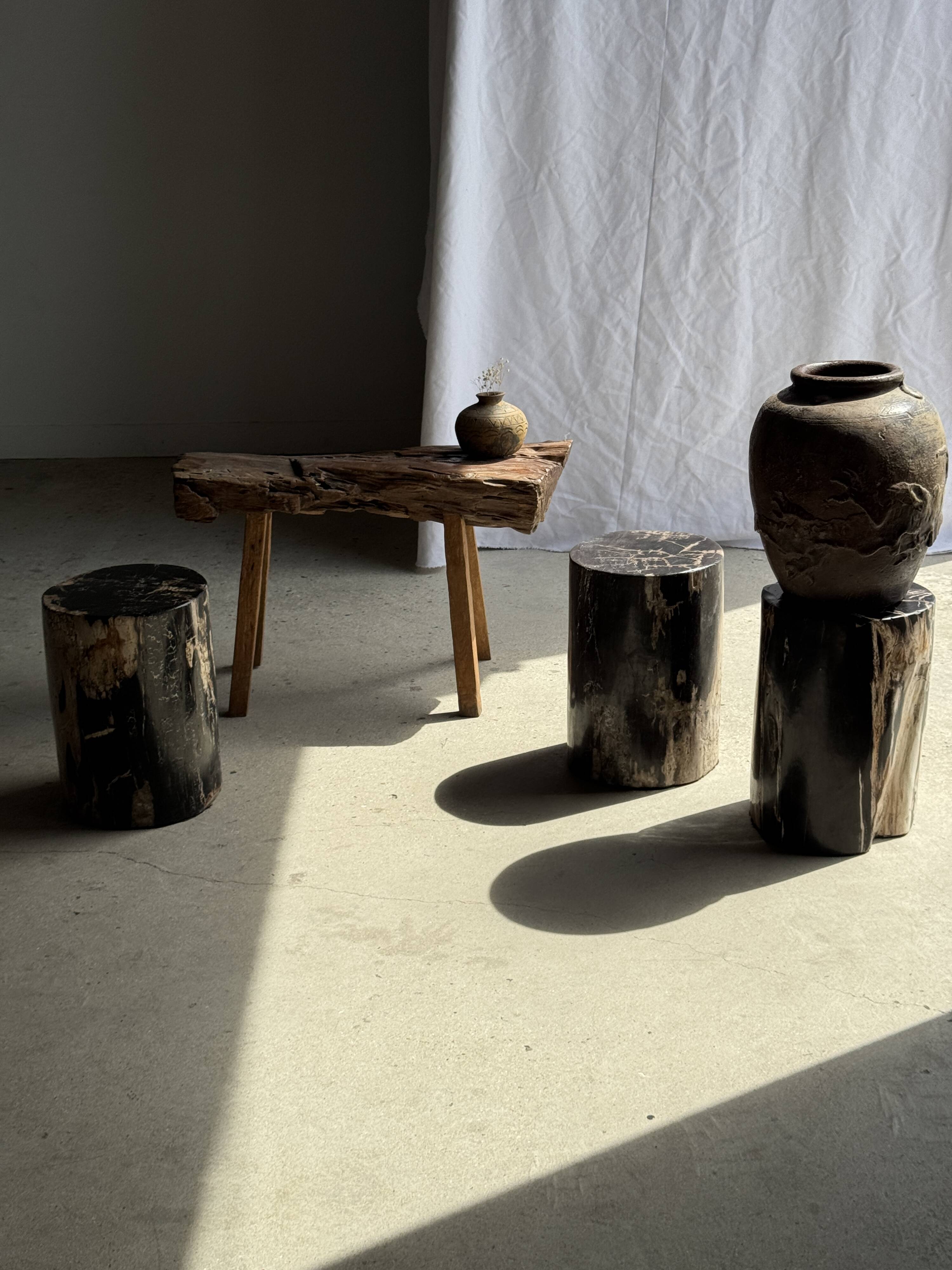 Black petrified wood side table with beige side H35 D24 - 3352