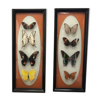 Butterfly frames