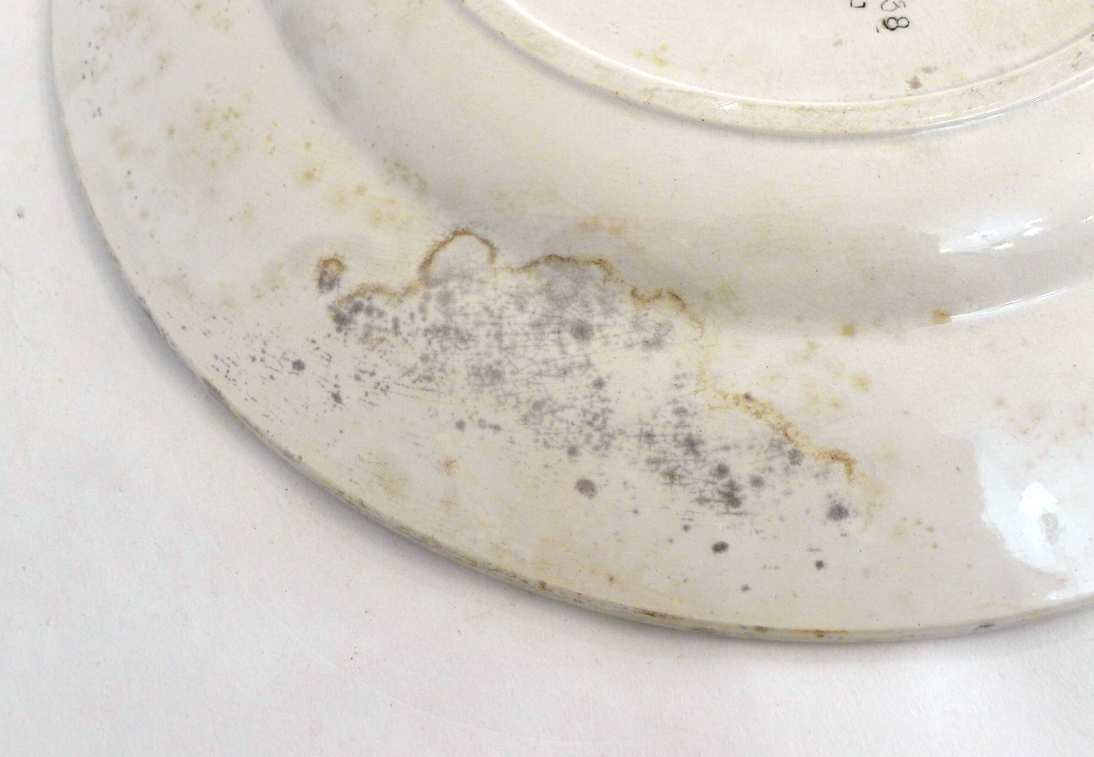 Plate / dish Iron earth Digoin late 19th century