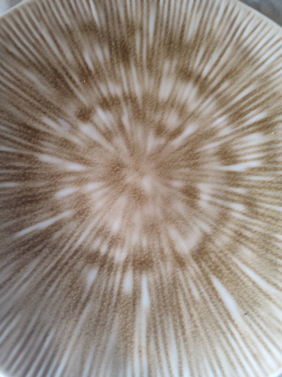 Set of 4 mushroom-style glazed ceramic plates