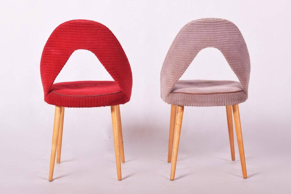 Chaises Mid-Century en hêtre, tchèque, années 1950, ensemble de 4