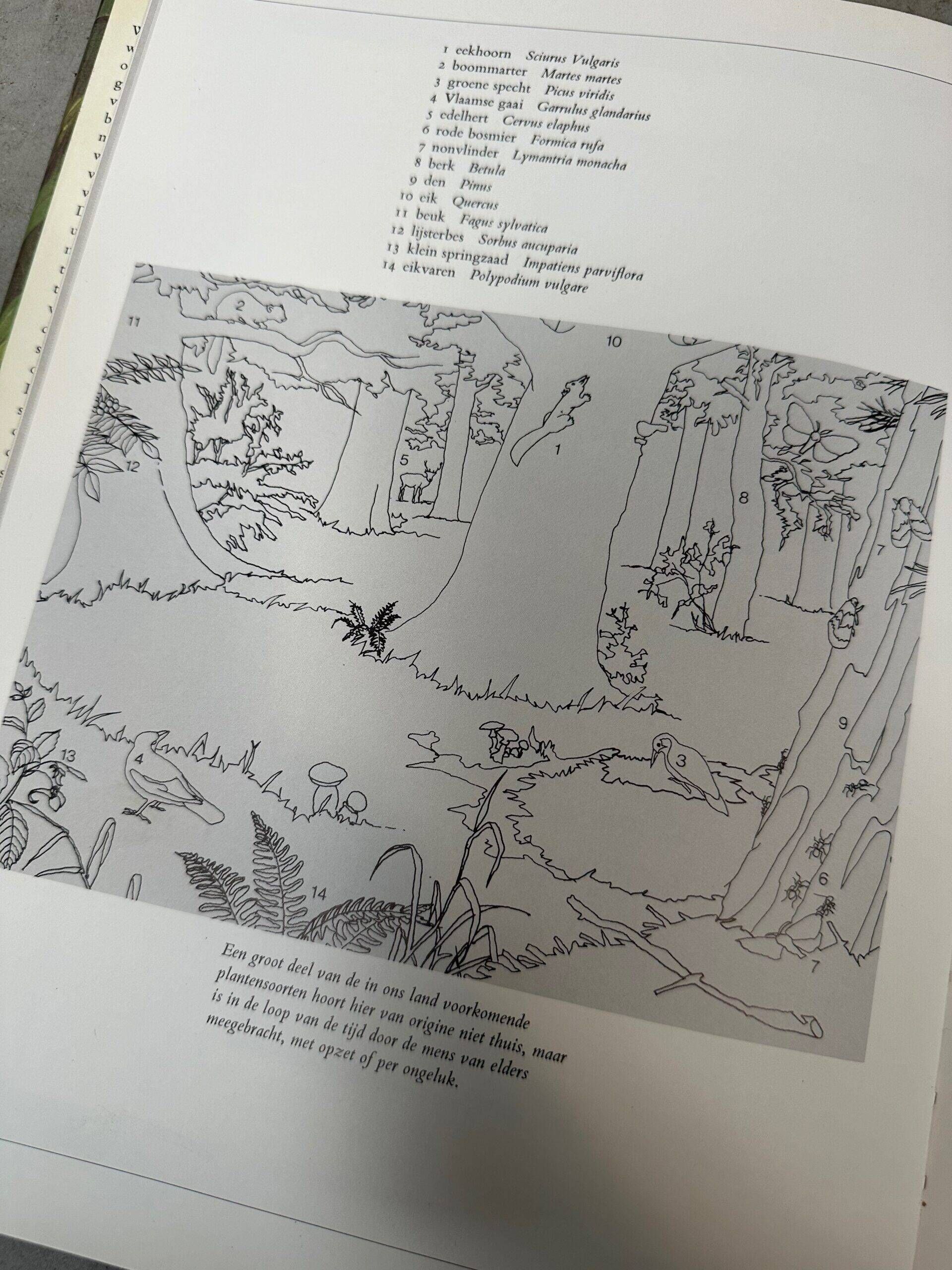 Vintage linen school chart – In the forest (M.A. Koekkoek)