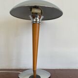 Liner Lamp