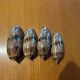 Ensemble coquillage