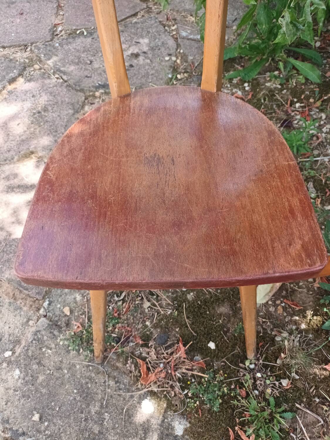 Stella Antelope Chairs