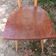 Chaises Antilope Stella