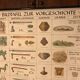 Old school card "bildtafel zur vorgeschichte" vintage chronology