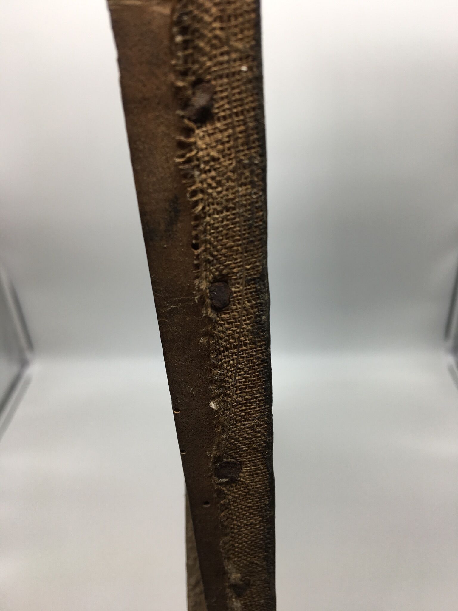 Signed painting, portrait of a gentleman with a book and an earring: 19th century