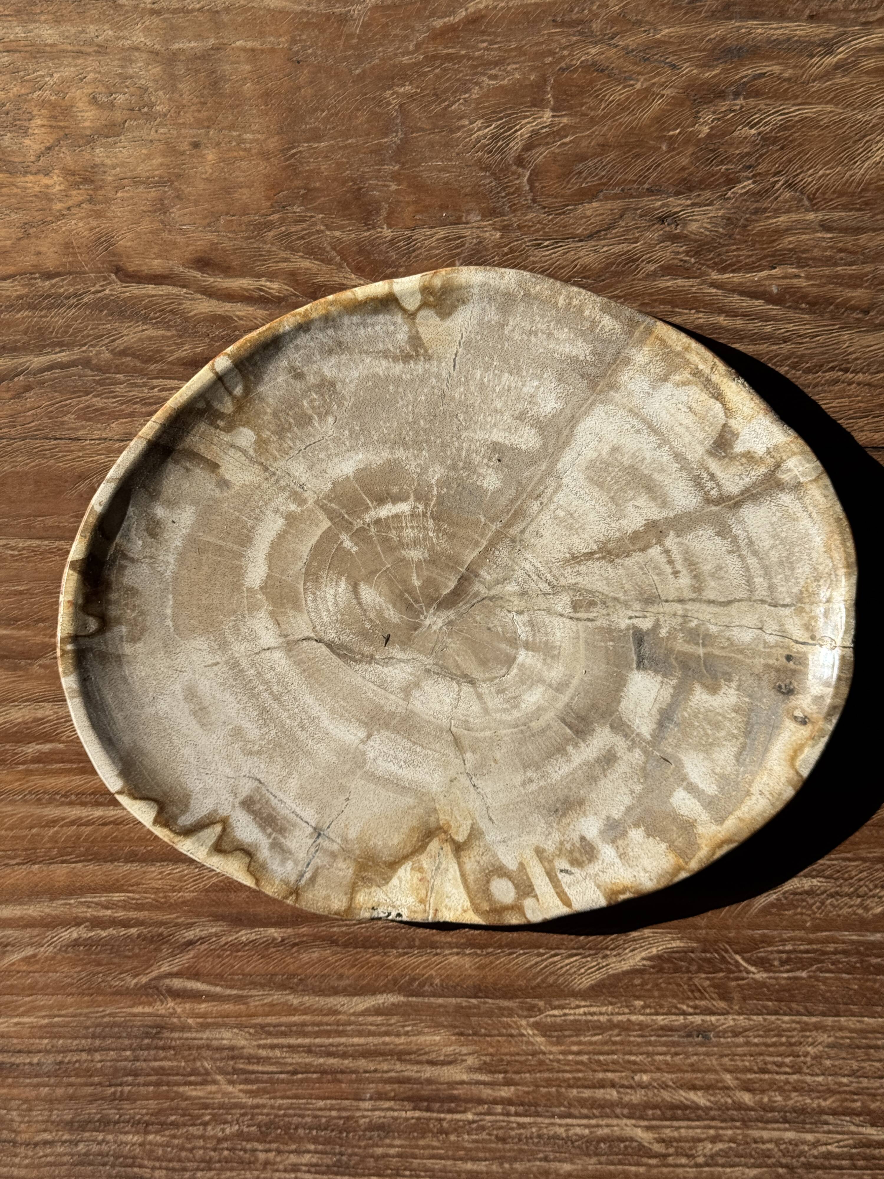 Small oval beige petrified wood dish or tray with speckled edges.