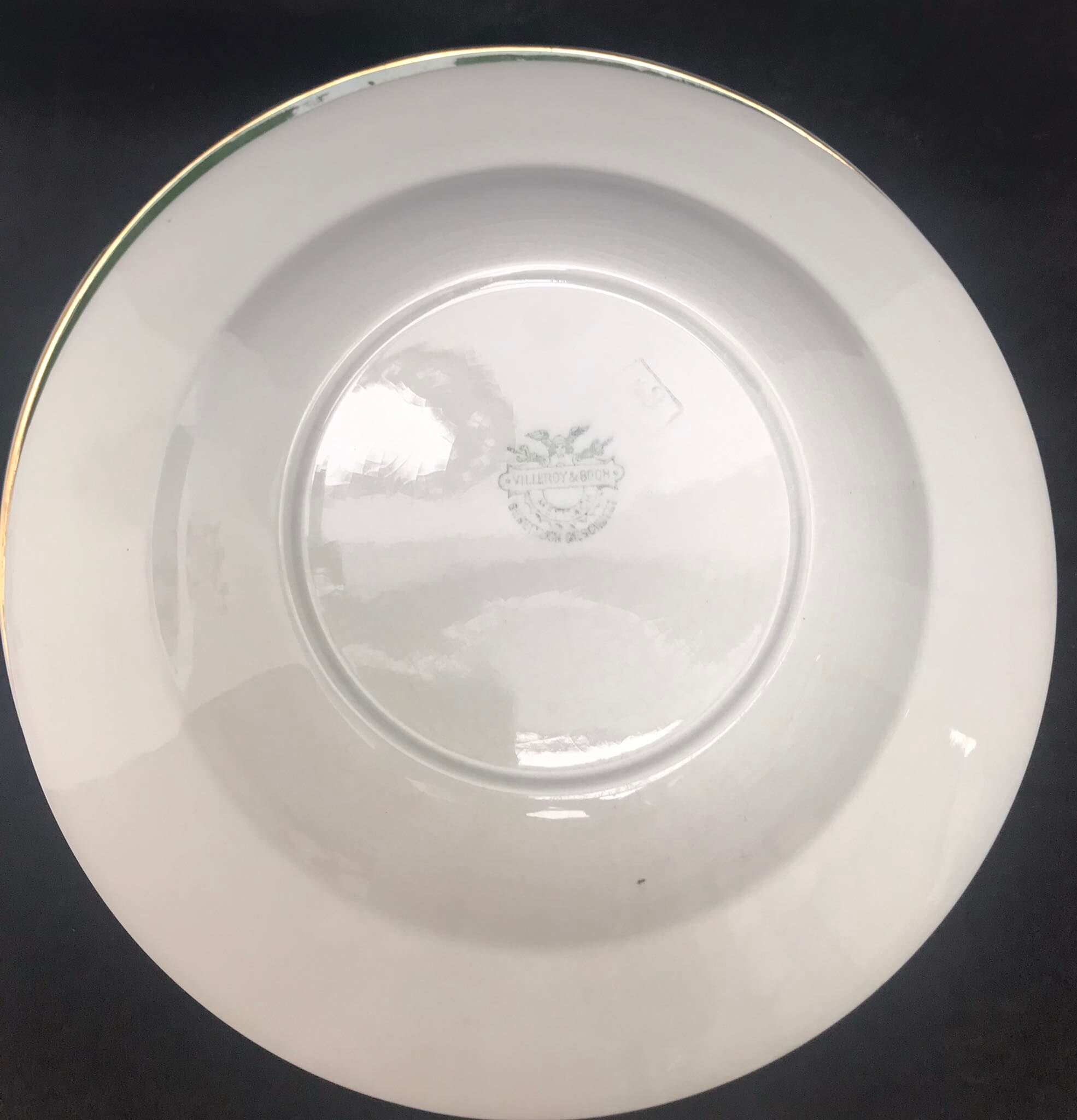 6 hollow plates XIX century Villeroy and Boch