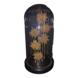 Cabinet of Curiosities globe with starfish heliaster kubiniji