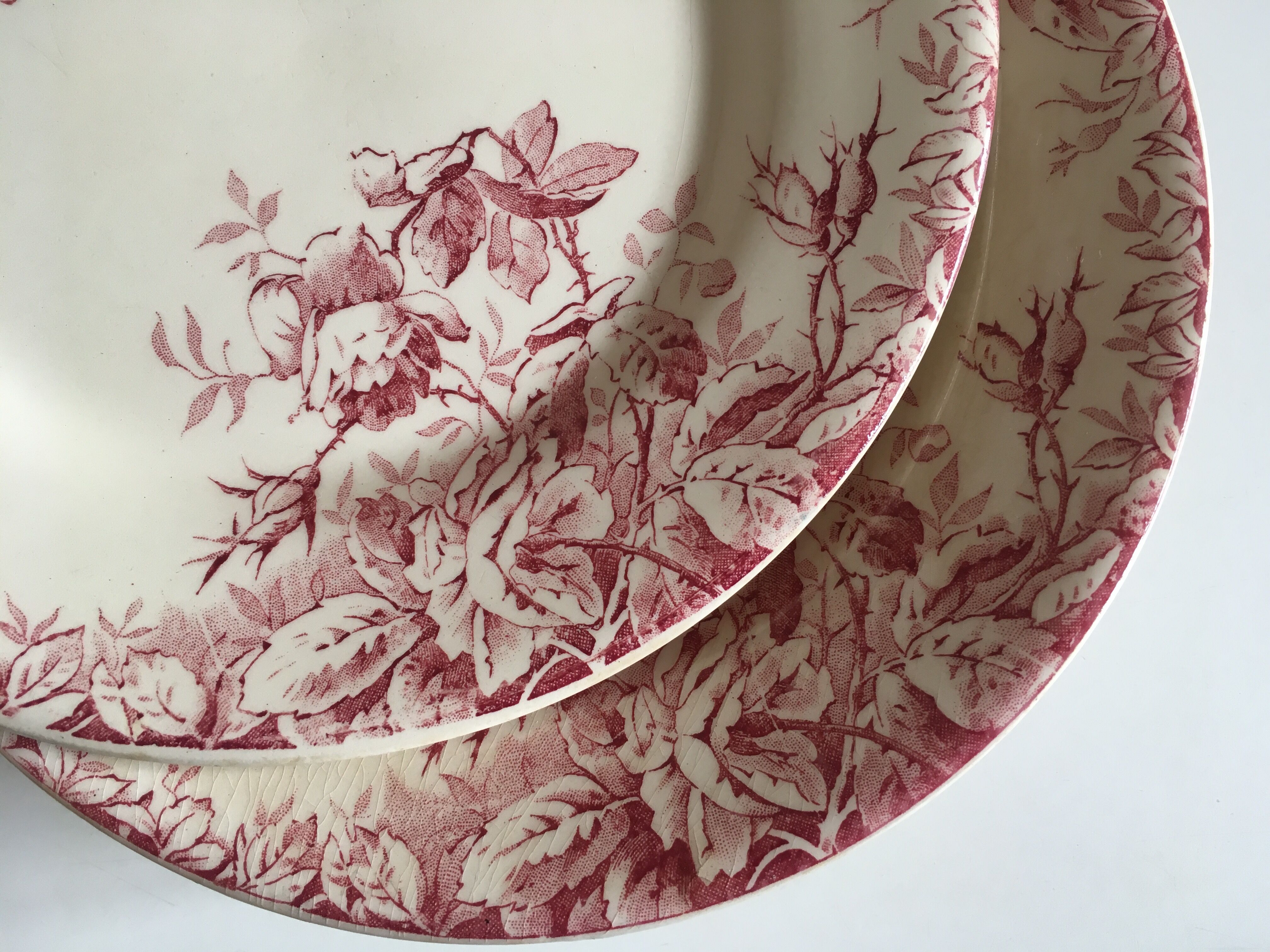 Series of 11 plates flat 19th in faience of Gien