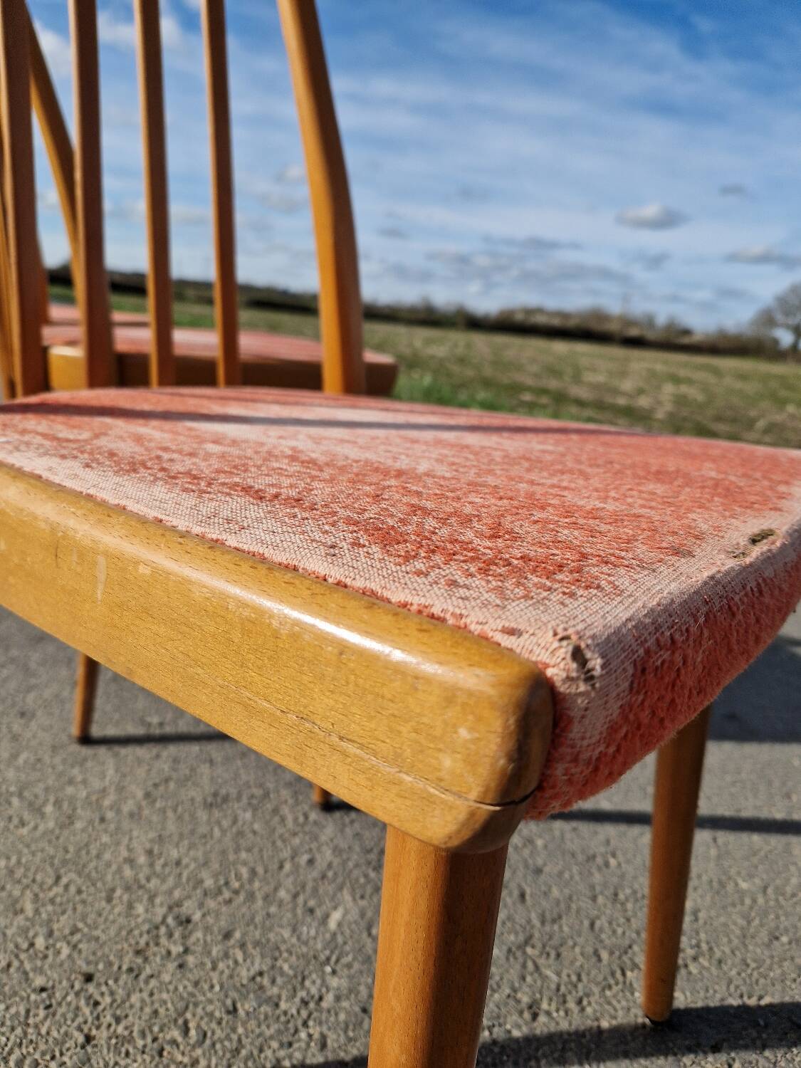 Lot de 4 chaises d'Antoine Suman
