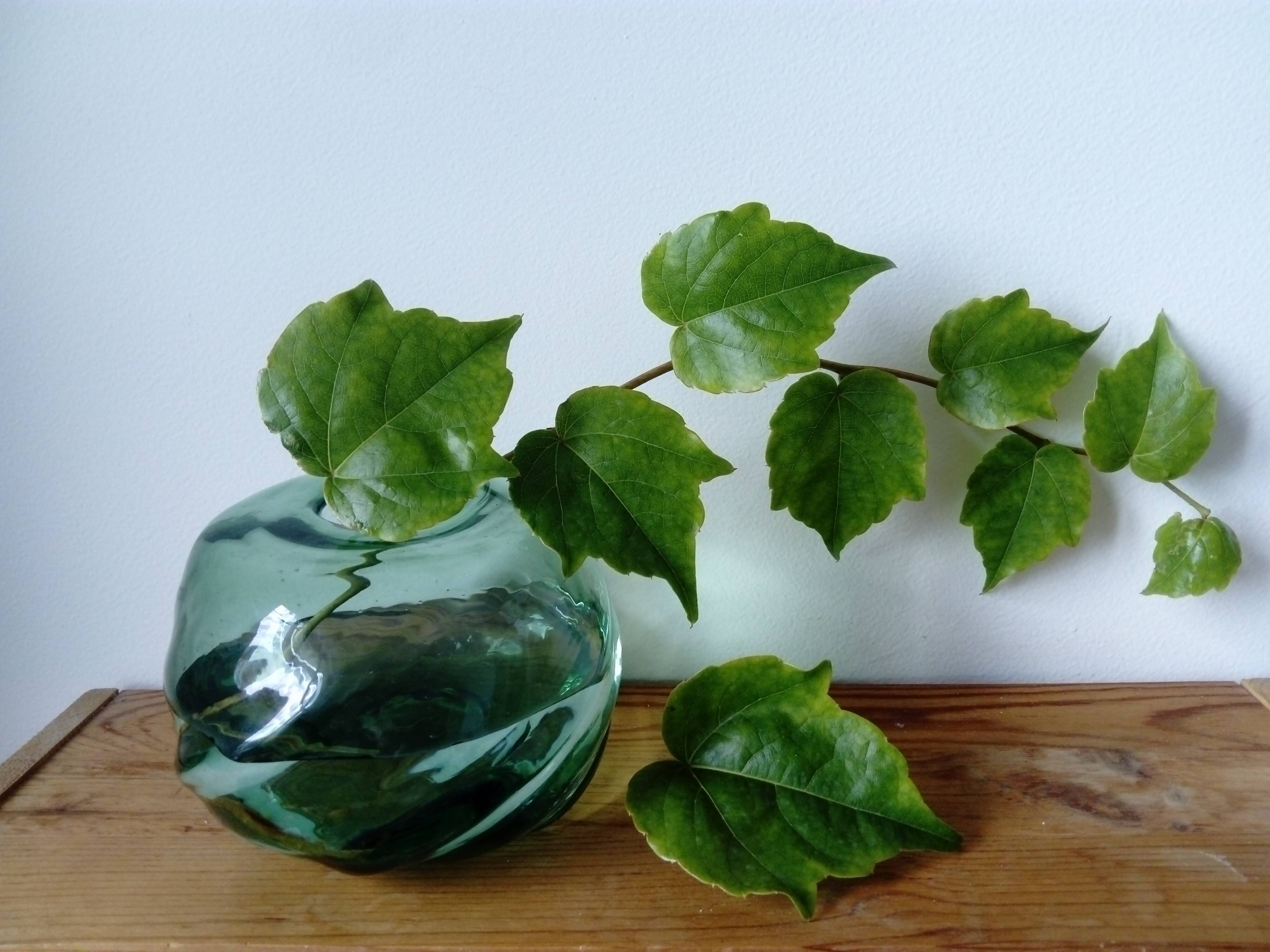 free form glass ball vase