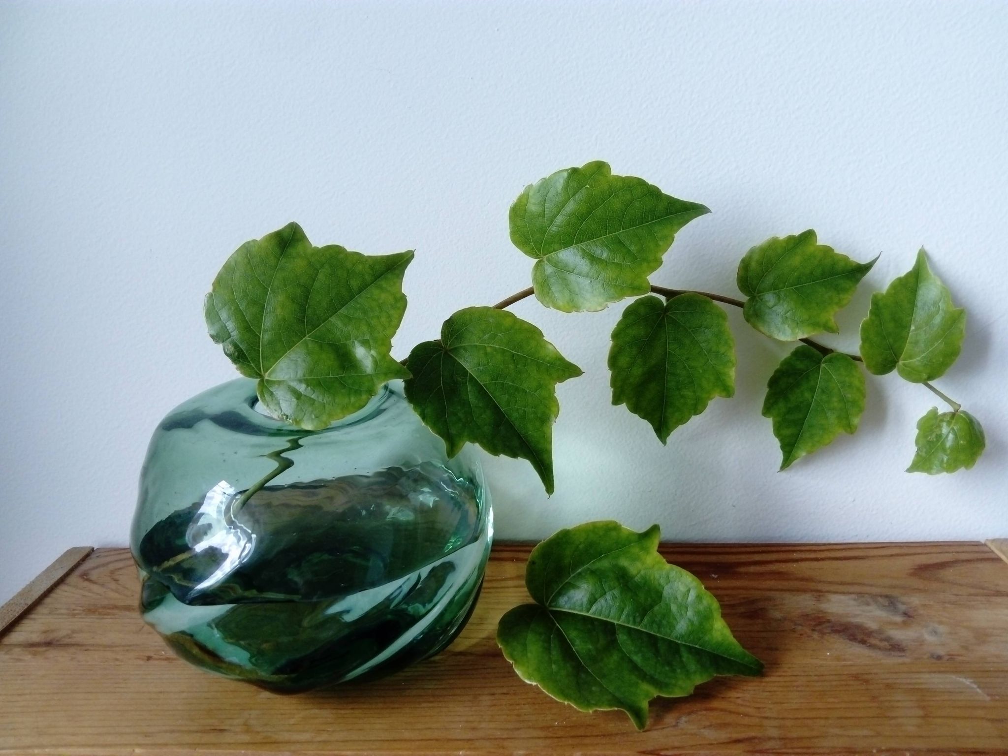 free form glass ball vase