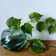 free form glass ball vase
