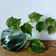 free form glass ball vase